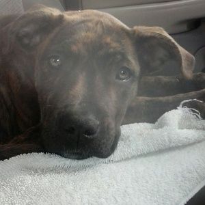 Meet your Posher, Faron